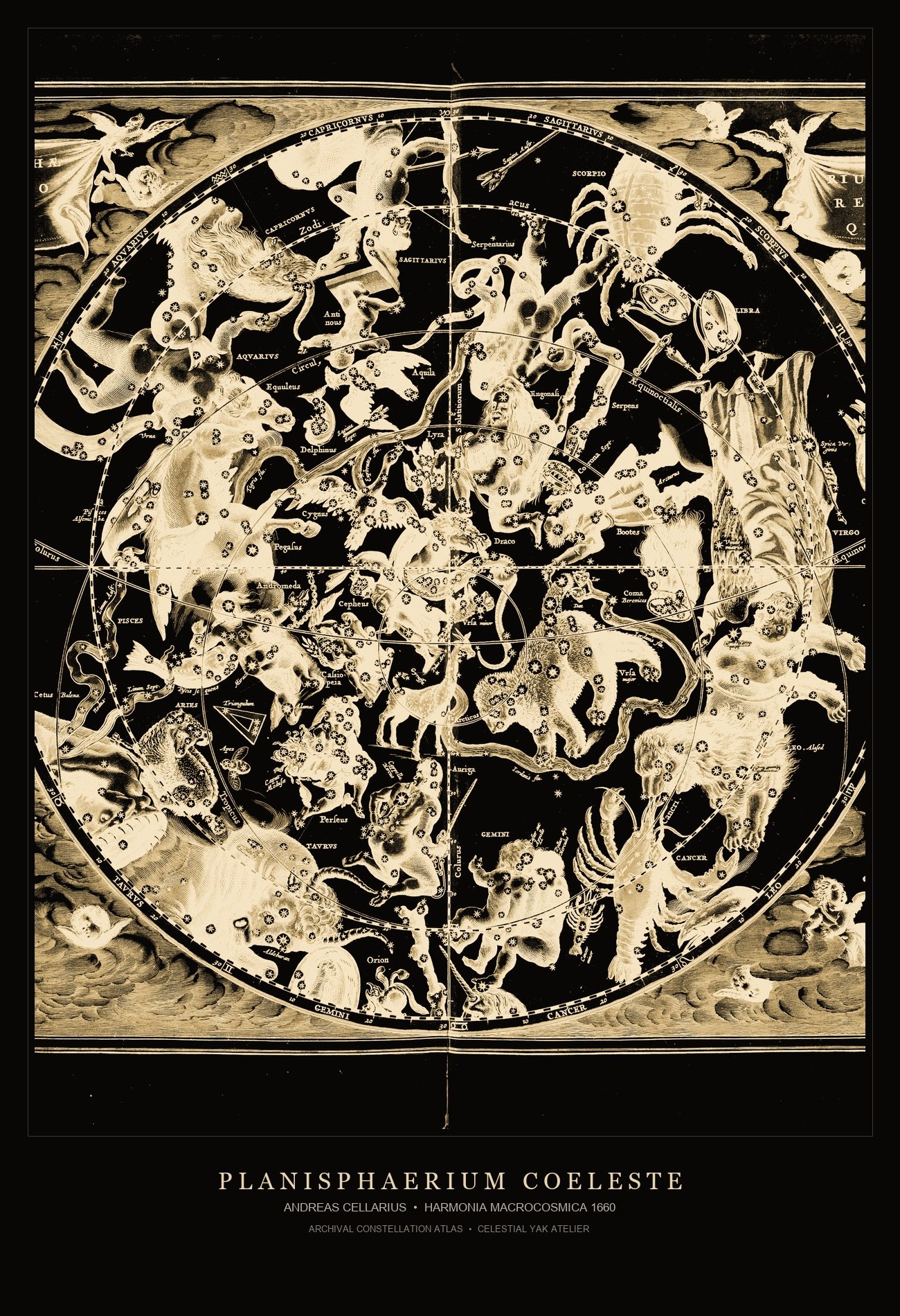 The Celestial Hemisphere