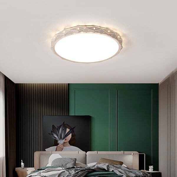 LED Ceiling Light (Dimmable and Color Options)